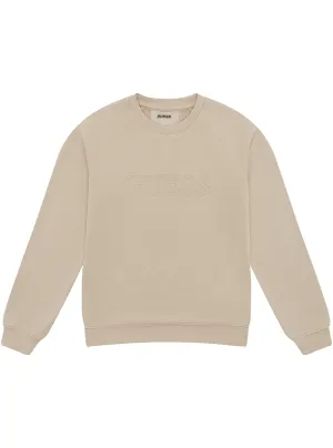 Beige Long Sleeve Active Jumper