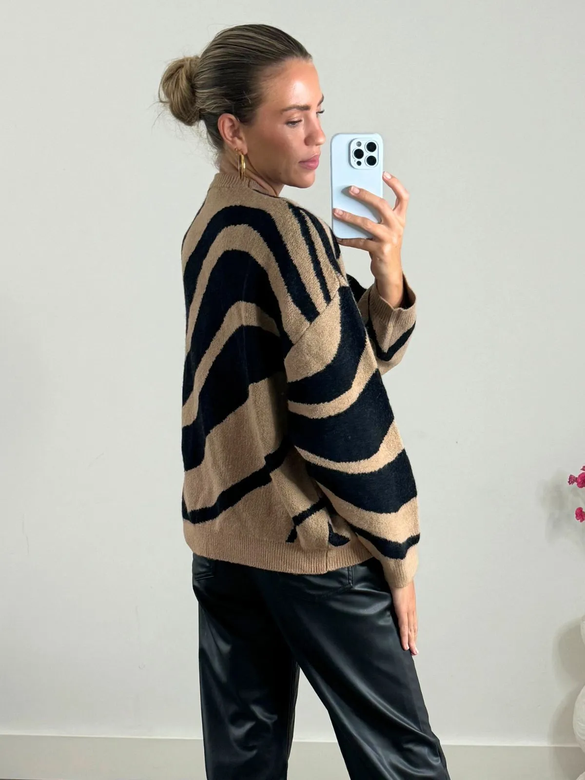 Dylan Zebra Print Jumper in Neutral