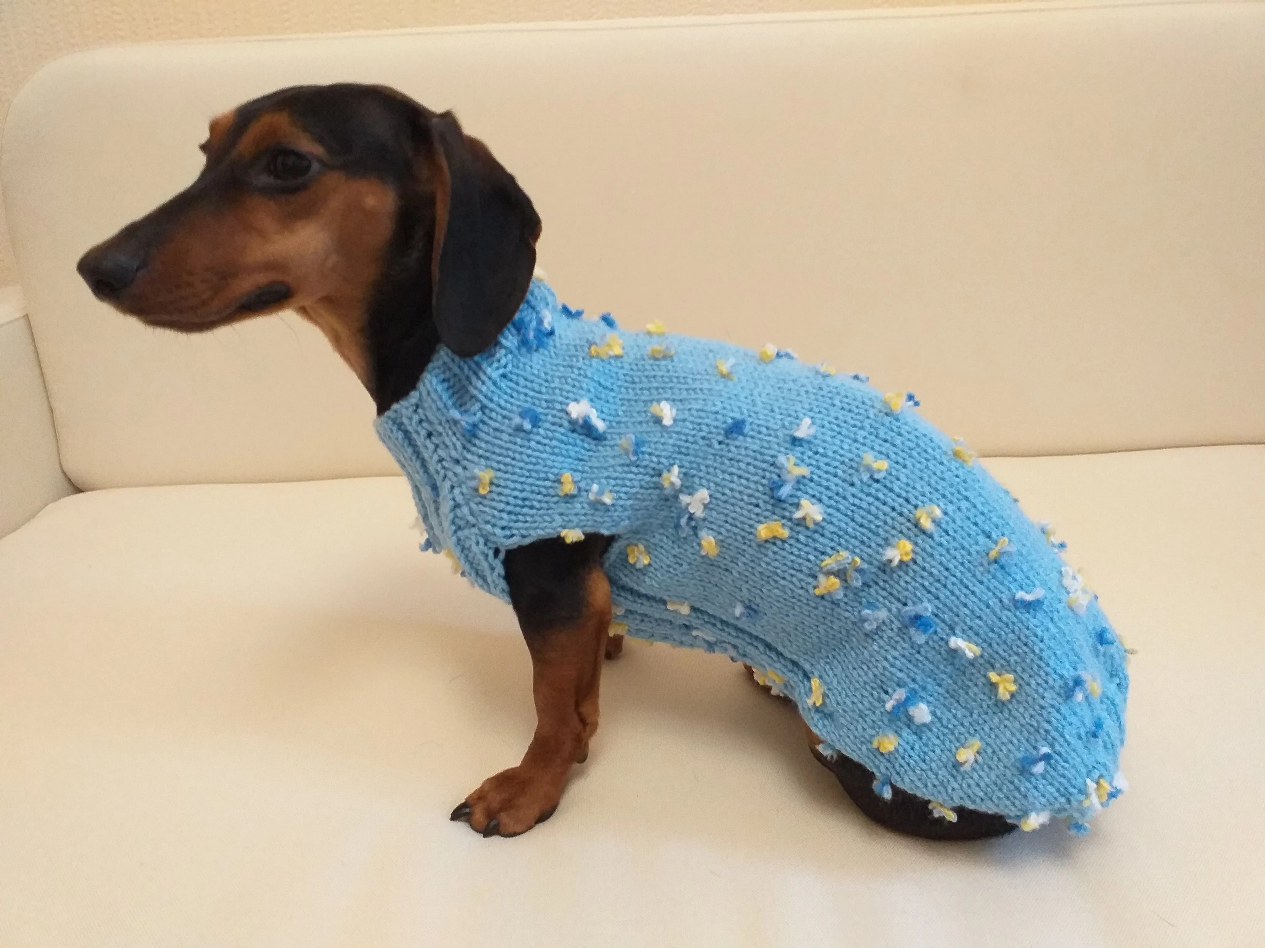 Exclusive sweater for a dog with butterflies and flowers, clothes sweater for a dachshund with flowers and butterflies