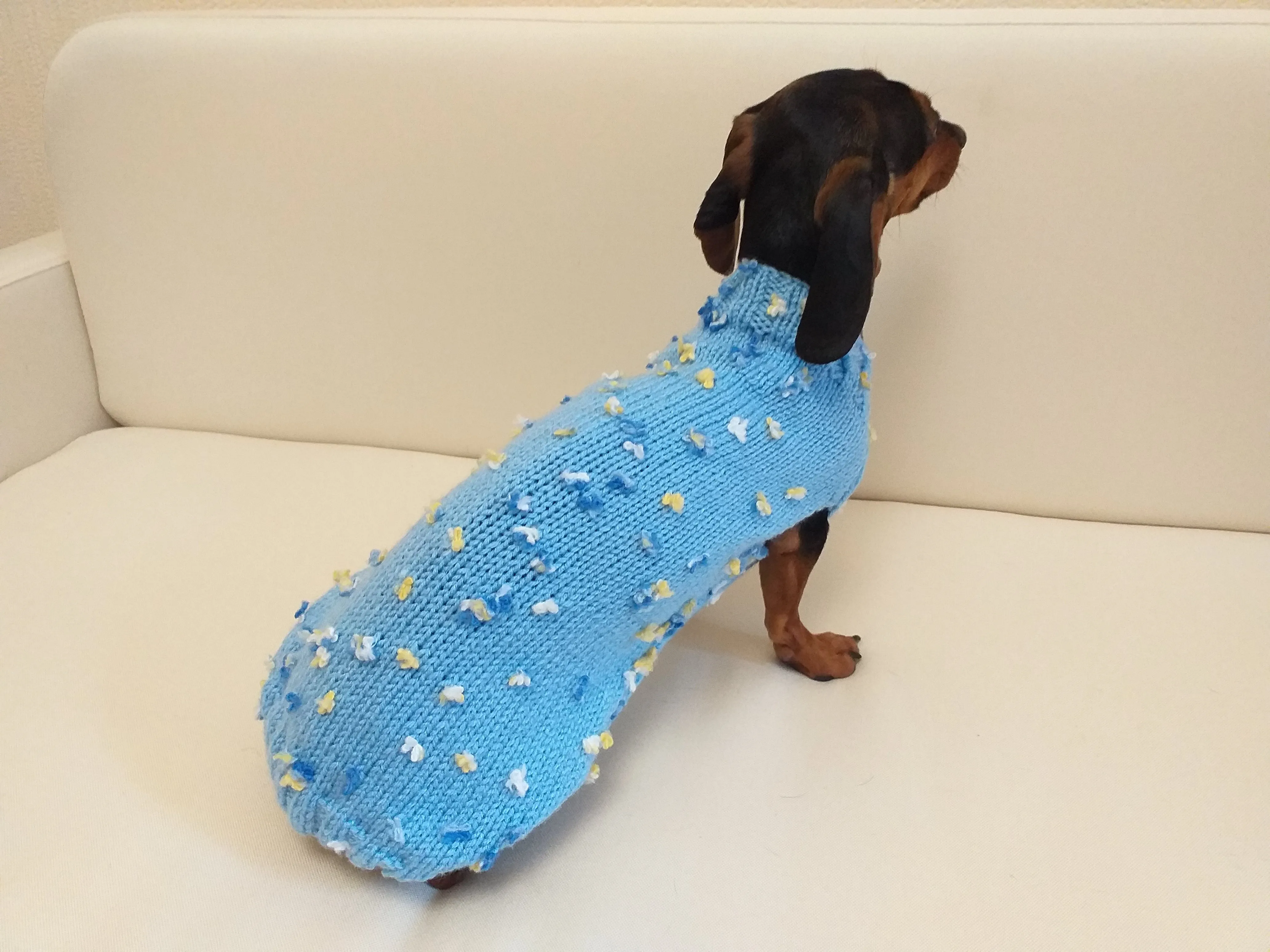 Exclusive sweater for a dog with butterflies and flowers, clothes sweater for a dachshund with flowers and butterflies