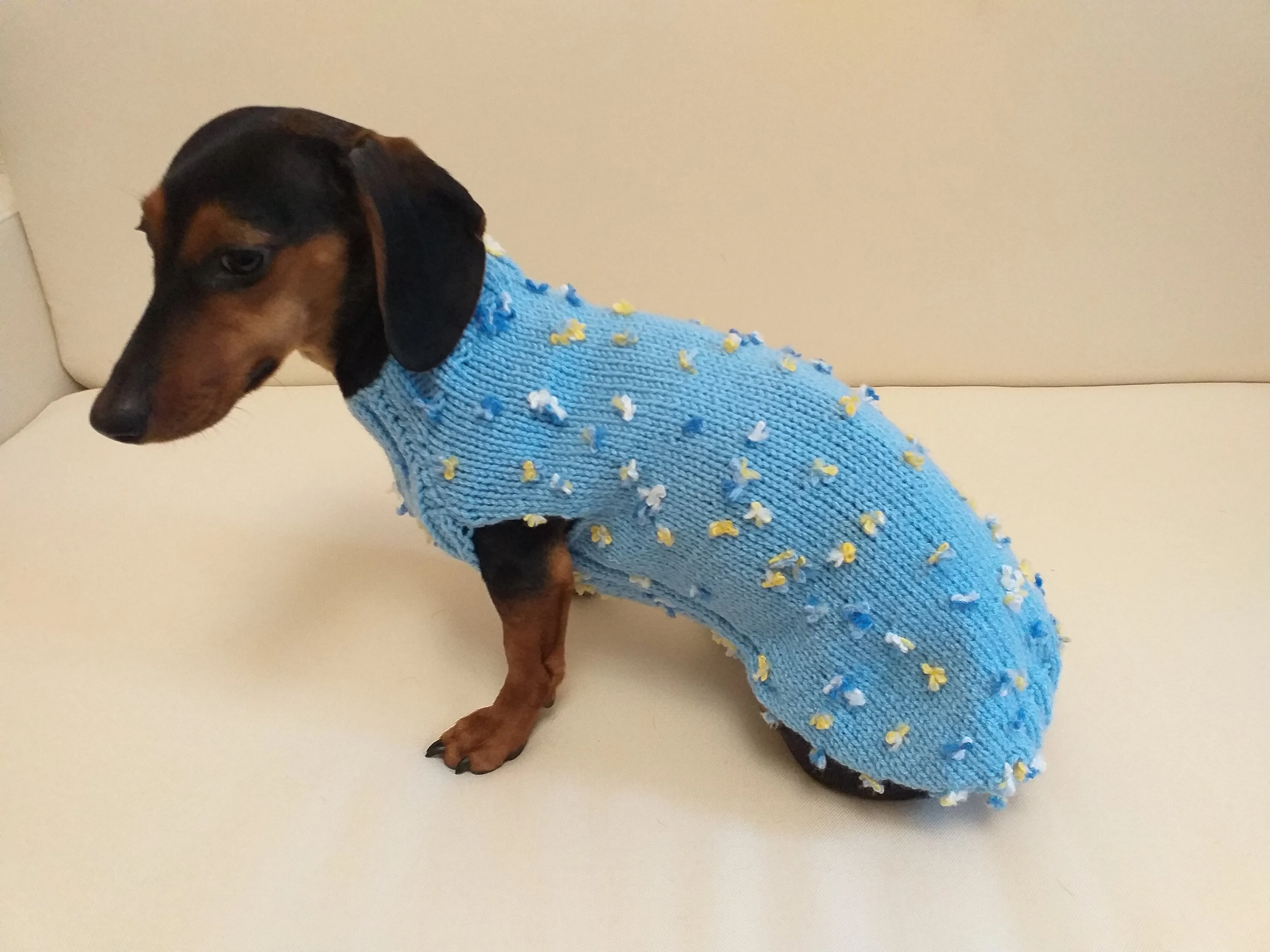 Exclusive sweater for a dog with butterflies and flowers, clothes sweater for a dachshund with flowers and butterflies